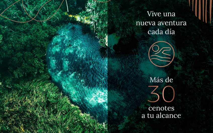 Lotes ecoresidenciales en tulum, terrenos ecoresidenciales en tulum, lots for sale in tulum, land for sale in tulum, big lots for sale in tulum